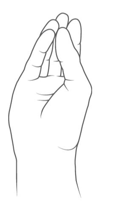 Animation that shows the bloom gesture