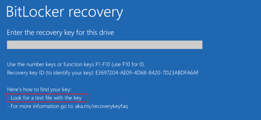 Customized BitLocker recovery screen.