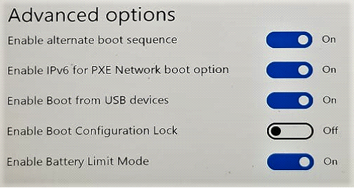 Screenshot of Advanced options