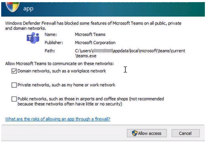 Windows Firewall prompt.