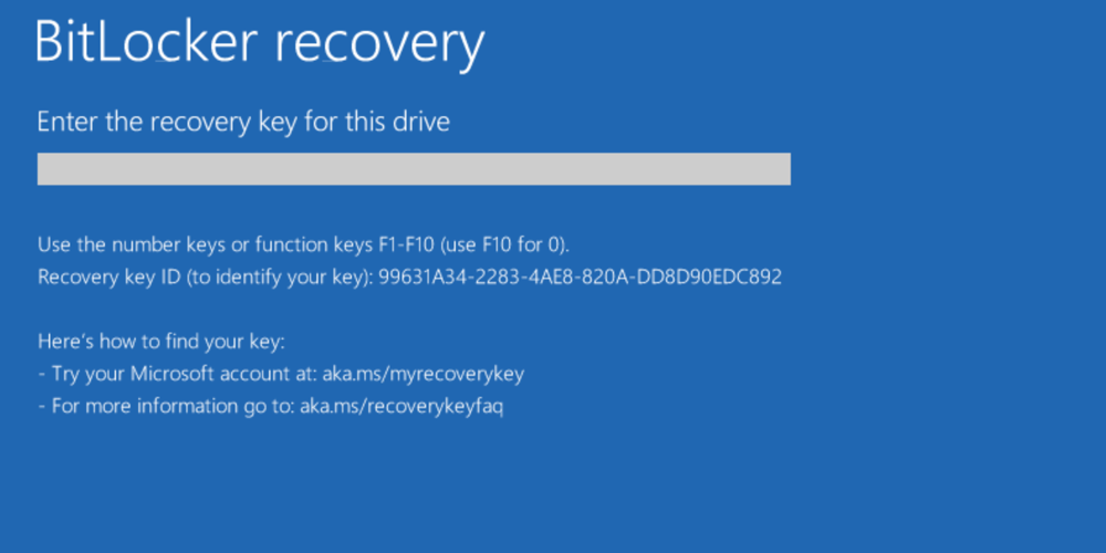 Example 3 of customized BitLocker recovery screen.