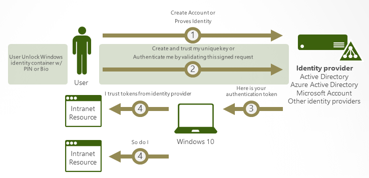 How authentication works in Windows Hello