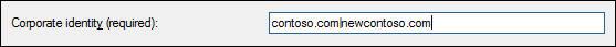 Create Configuration Item wizard, Add the primary Internet domain for your enterprise identity