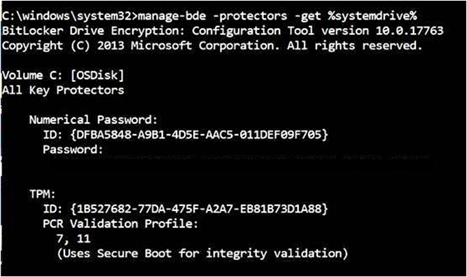 Output of the manage-bde command.