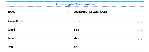 WIP encrypted file extensions