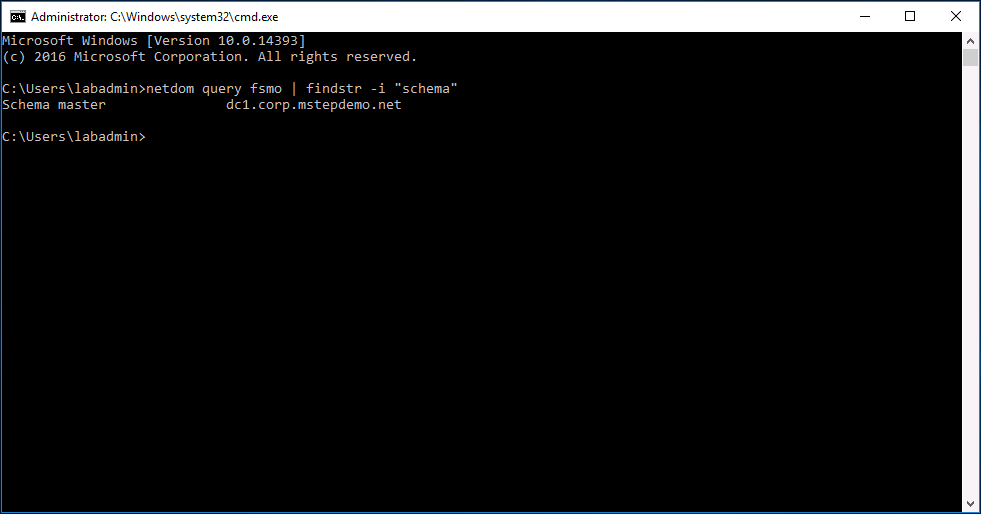 Netdom example output.