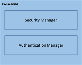 MSM details