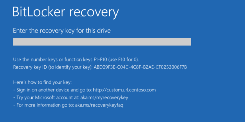 Example 1 of Customized BitLocker recovery screen