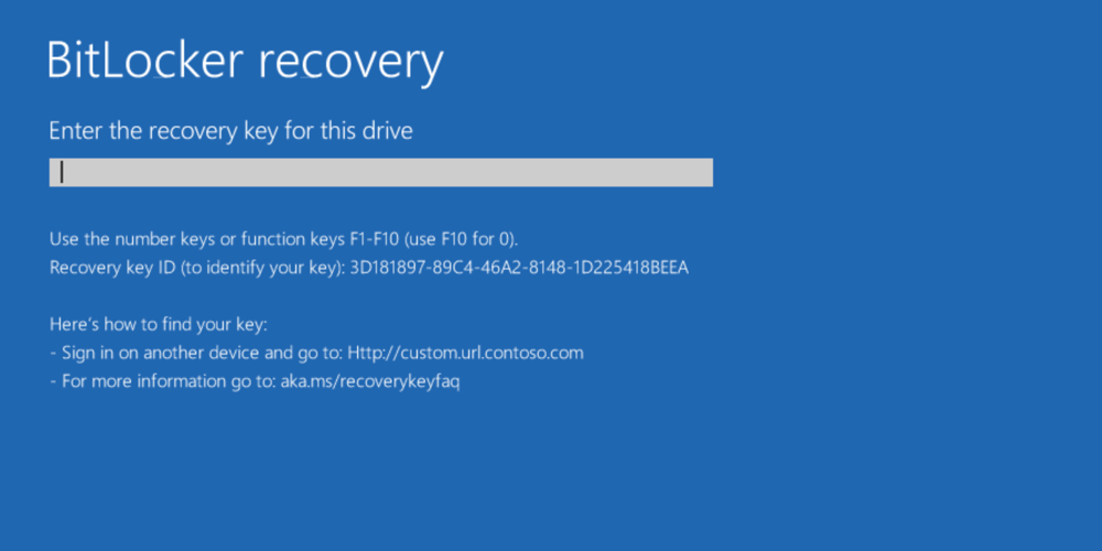 Example 2 of customized BitLocker recovery screen