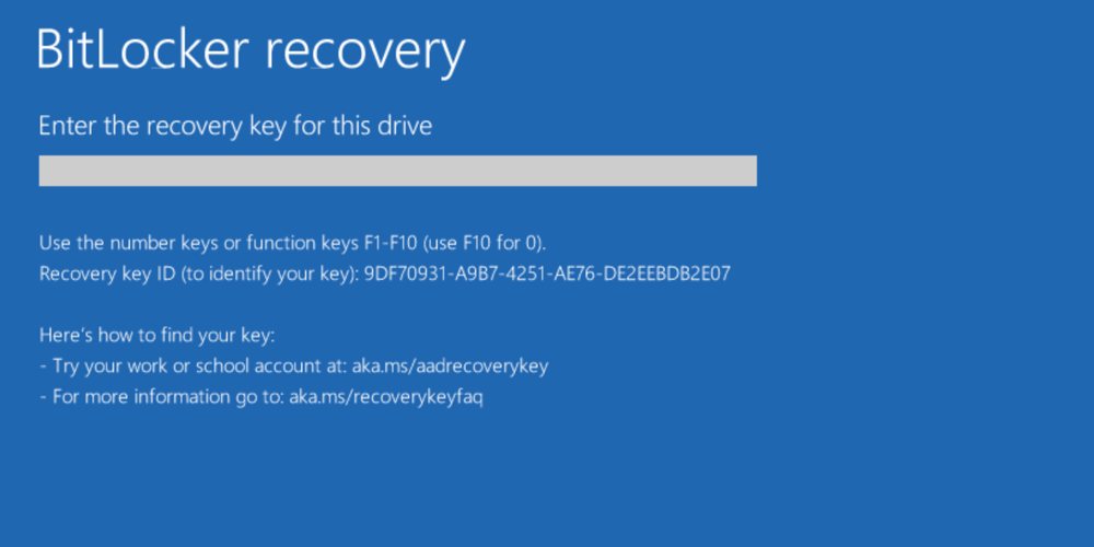 Example 5 of customized BitLocker recovery screen