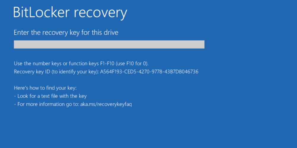 Example 4 of customized BitLocker recovery screen.